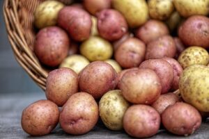 FODMAP